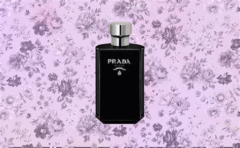 prada intense reviews